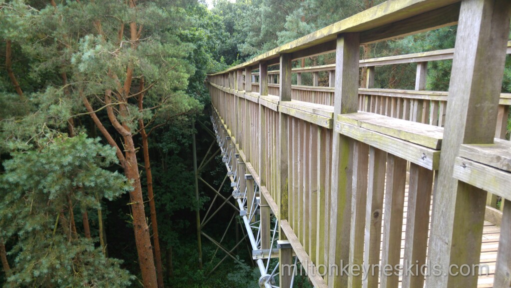 Tree top Trail at Salcey Forest, Forestry Commission