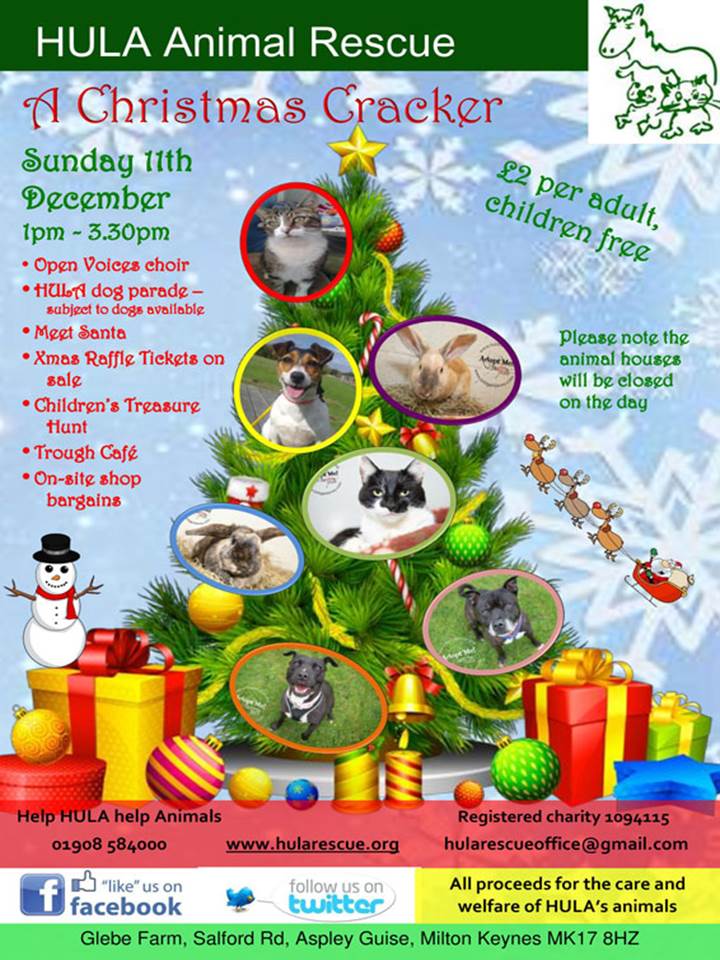 Hula Animal Rescue Christmas - Milton Keynes Kids