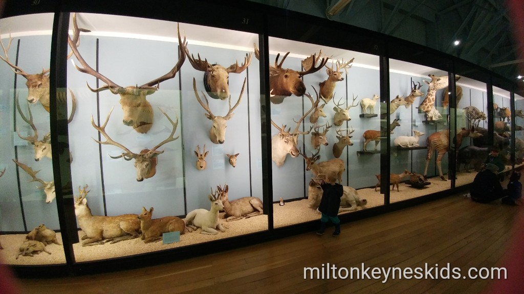 Natural History Museum in Tring