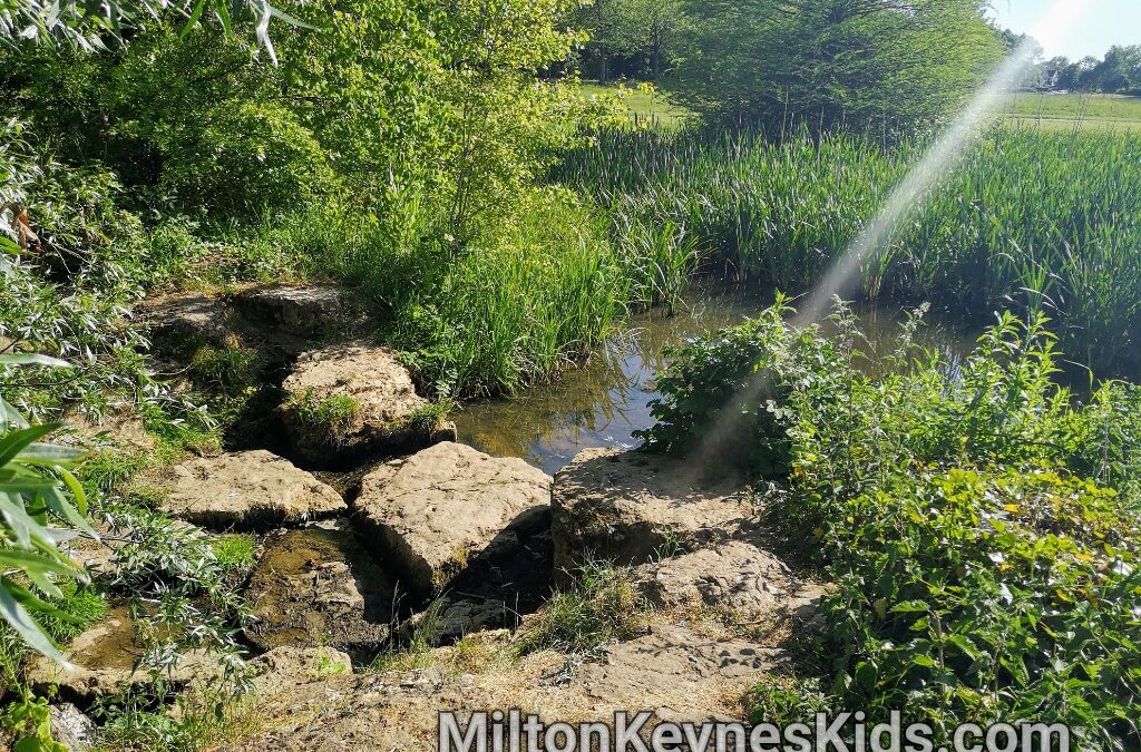 Stepping stones at Tattenhoe Valley Park, Milton Keynes