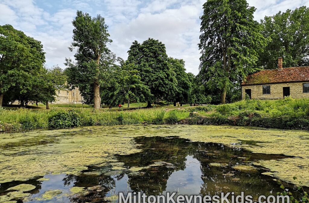 Pond at Great Linford Manor Park