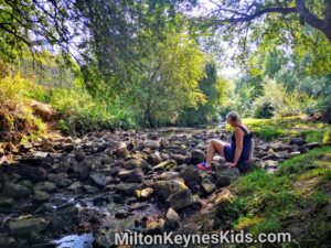 Stepping stones in Loughton Valley Park