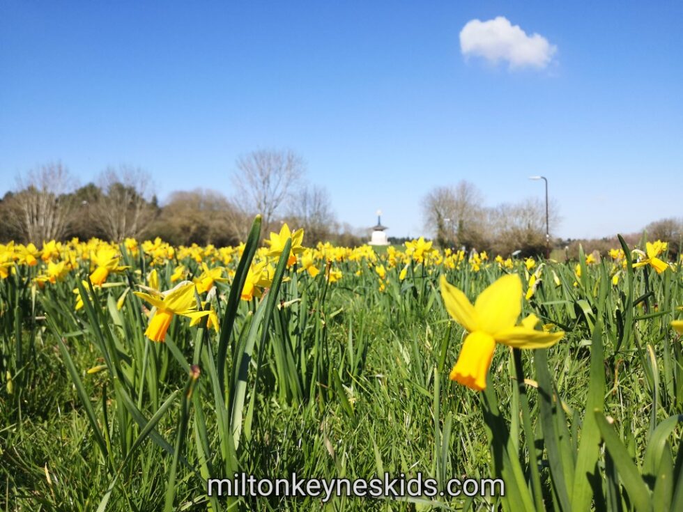 Cheap Easter days out for kids in Milton Keynes 2022 Milton Keynes Kids